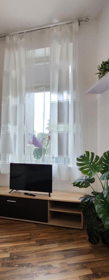 Elena Flat Orchidee Duisburg Zentrum Luaran gambar